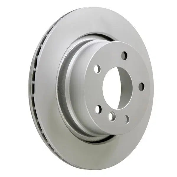 Pagid OE Rear Brake Discs (Pair) for BMW E85/E86 Z4 SI - 294mm